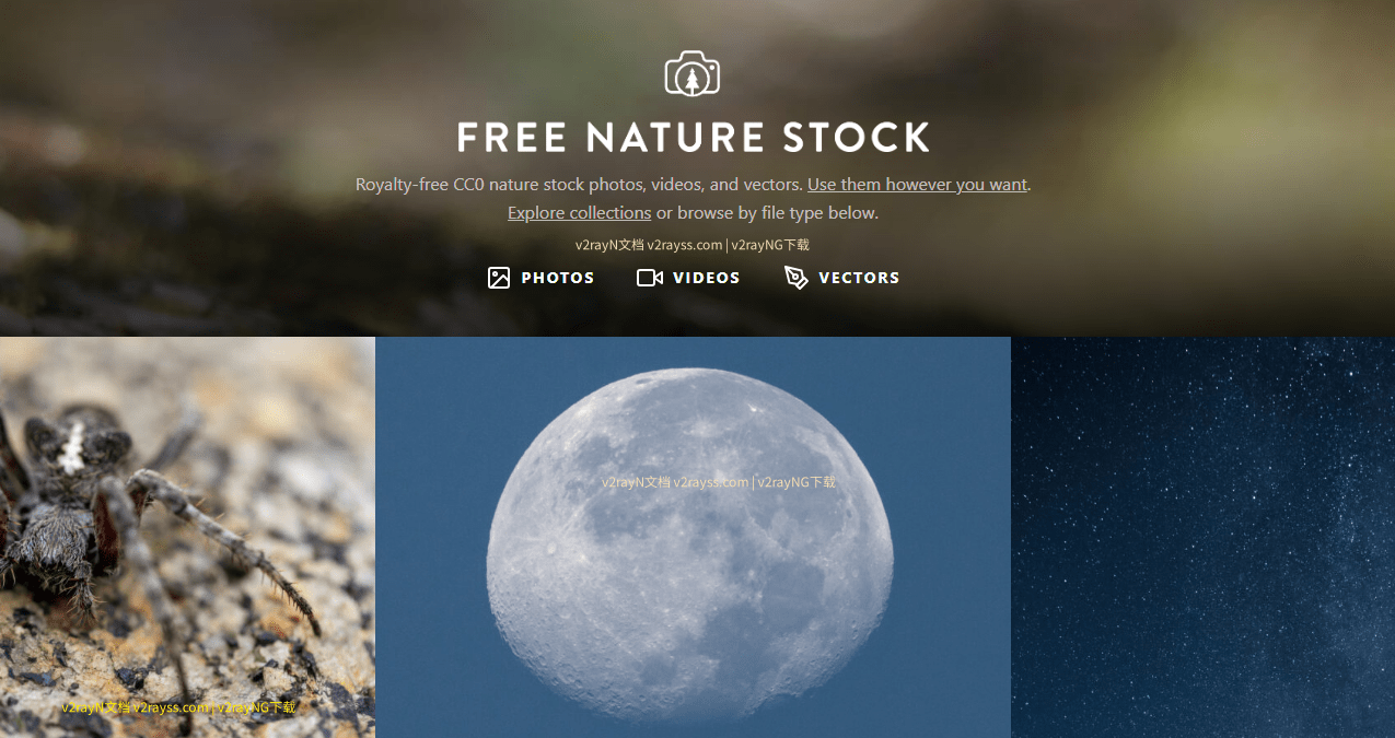 免费商用图库：Free Nature Stock高画质CC0图片下载 - 第1张图片